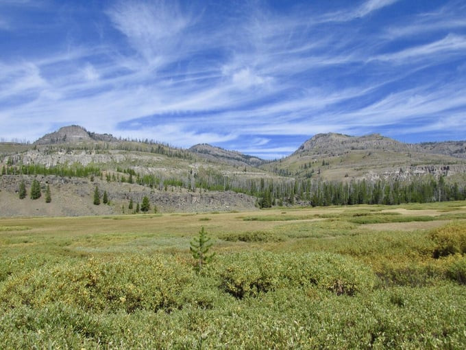 Đồng cỏ gần Two Ocean Pass, phía nam Công viên Quốc gia Yellowstone