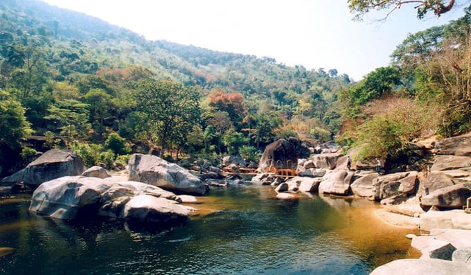 Vườn Quốc gia Yok Đôn là một trong những khu rừng đặc dụng lớn nhất Việt Nam, với hệ sinh thái đặc trưng là rừng khộp. Ảnh: VOV TV
