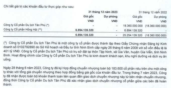 Chi tiết giá trị các khoản đầu tư thực của Ninh Vân Bay. Ảnh NVT