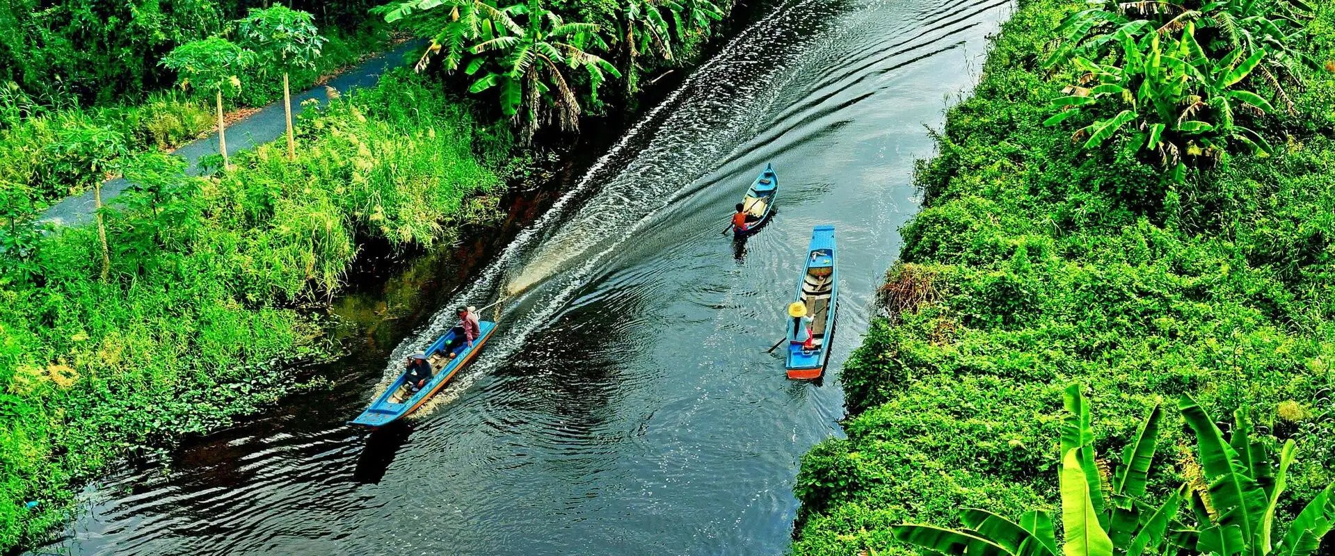 Trải nghiệm tham quan bằng thuyền ở rừng U Minh Hạ