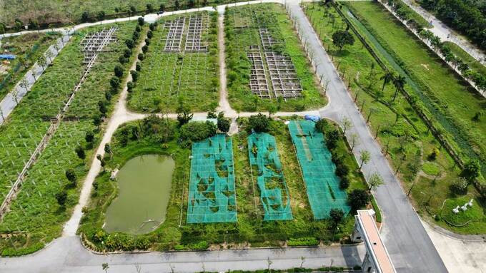 Hơn 15 năm hoang vắng, ‘nút thắt’ tại dự án nghìn tỷ ở Mê Linh, Hà Nội vẫn chưa được tháo gỡ