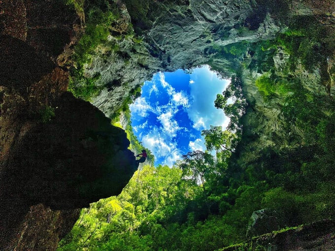 Hệ thống hang Hổ nằm trong rừng nguyên sinh Phong Nha - Kẻ Bàng. Ảnh: Facebooker Linh Lố