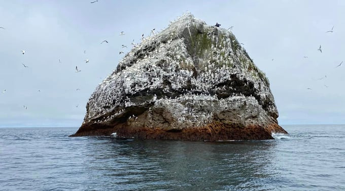 Ở vùng Bắc Đại Tây Dương, có một hòn đảo đá núi lửa tên Rockall không có người ở