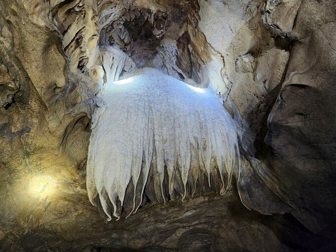 Việc khai thác đá tại núi Đụn đã được tạm dừng để thực hiện công tác nghiên cứu nhằm phục vụ công tác bảo tồn