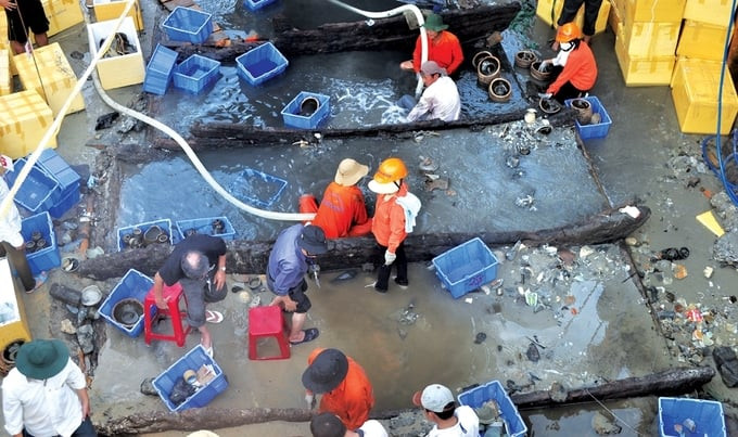 Khai quật tàu cổ đắm ở xã Bình Châu (Bình Sơn) năm 2013