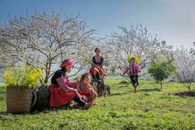 Ngoài những tài nguyên thiên nhiên phong phú và đa dạng, Mộc Châu còn thu hút khách du lịch bởi sự đa dạng văn hóa của các dân tộc thiểu số như Thái, Mường, Mông, Dao, Xinh Mun, Khơ Mú...,