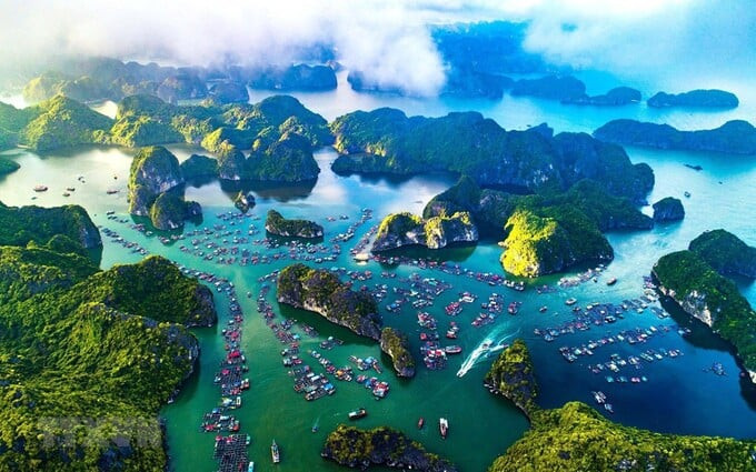 Vịnh Hạ Long là 1 trong những di sản thiên nhiên nổi tiếng nhất của Việt Nam