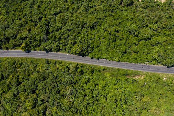 Con đường xuyên rừng nguyên sinh Bình Châu – Phước Bửu nhìn từ trên cao