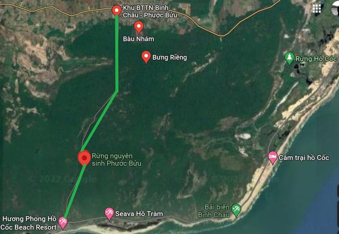 Cung đường xuyên rừng nguyên sinh Bình Châu – Phước Bửu (Ảnh: Google Maps)