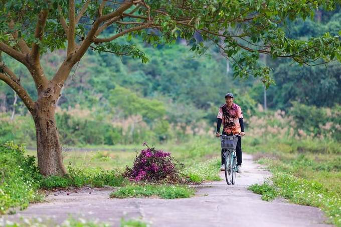 Du khách thường lựa chọn xe đạp để di chuyển trong làng