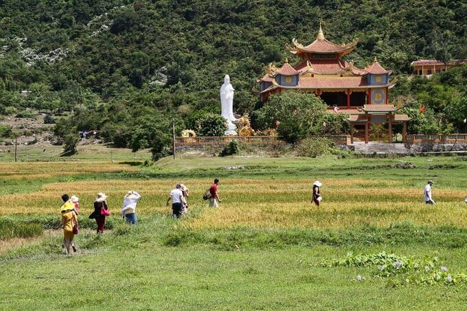 Du khách men theo con đường nhỏ vào chùa.
