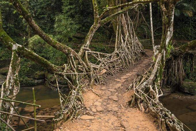 Đây là cây cầu được tổ chức UNESCO công nhận là Di sản Thế giới