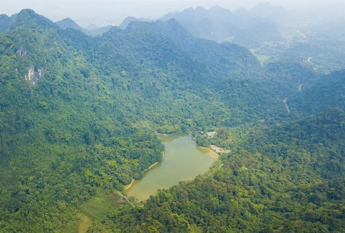 Vườn quốc gia Cúc Phương được vinh danh là Vườn quốc gia hàng đầu châu Á 4 năm liên tiếp. Ảnh: Minh Đức/Báo Ảnh Việt Nam