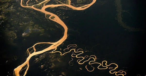 Amazon là dòng sông có quy mô khổng lồ nhất hành tinh