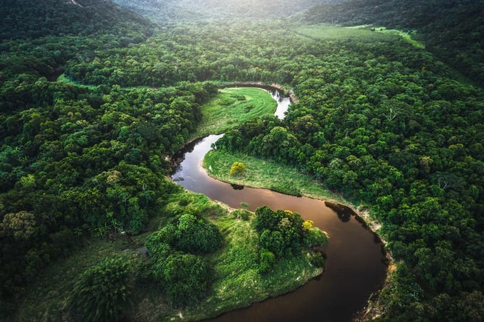 Việc xây dựng cầu có thể ảnh hưởng tới hệ sinh thái Amazon