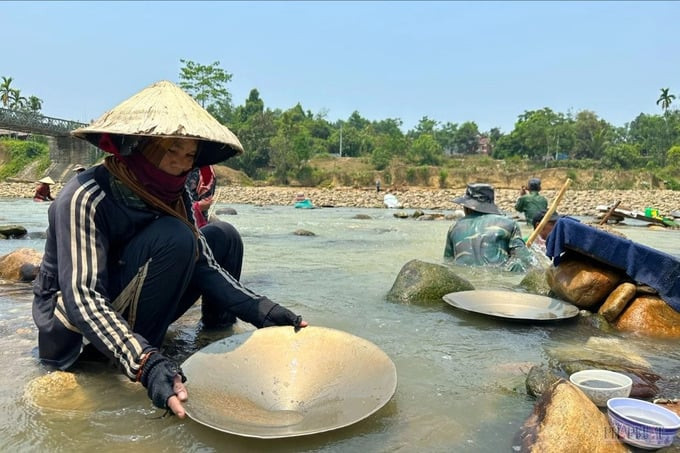 Nhiều người dân xuống sông “đãi cát tìm vàng” cho đến khi thủy điện mở nước trở lại mức cao thì mới nghỉ. Ảnh: Báo điện tử Pháp Luật TP. Hồ Chí Minh