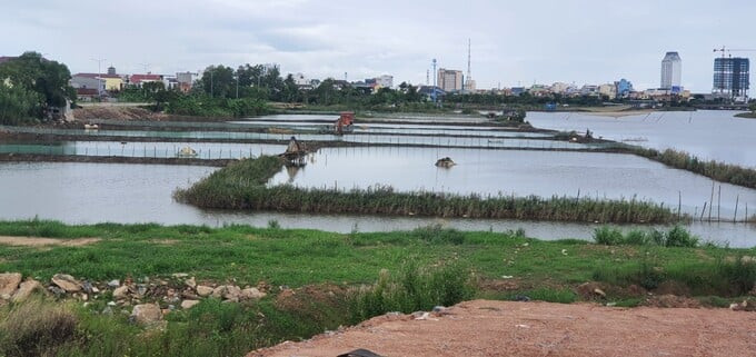 Khu vực đất quy hoạch làm dự án. Ảnh: Báo Đầu tư