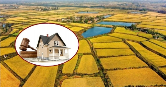 28 nội dung và vướng mắc trong quản lý đất đai đang được xử lý