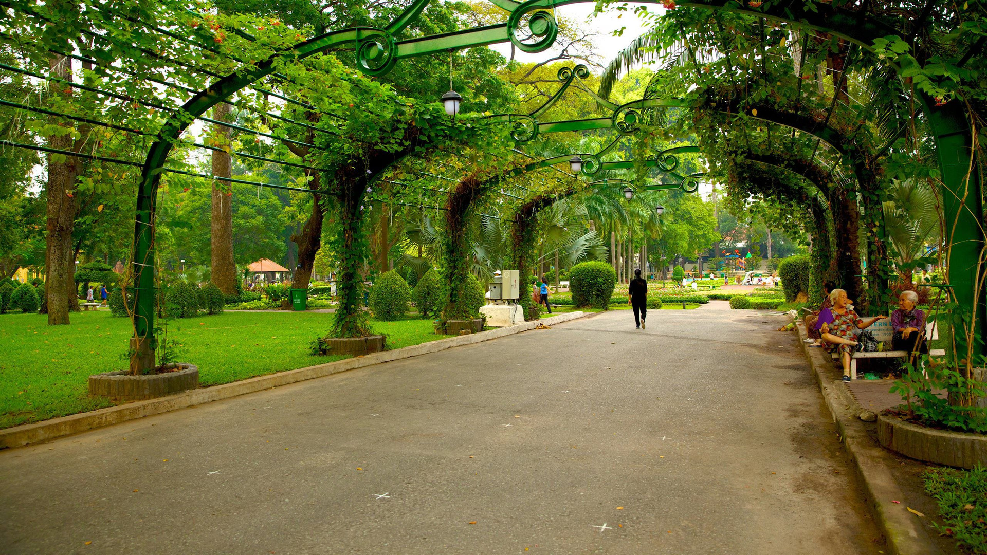 Công viên Tao Đàn rợp bóng cây xanh. Ảnh: Expedia