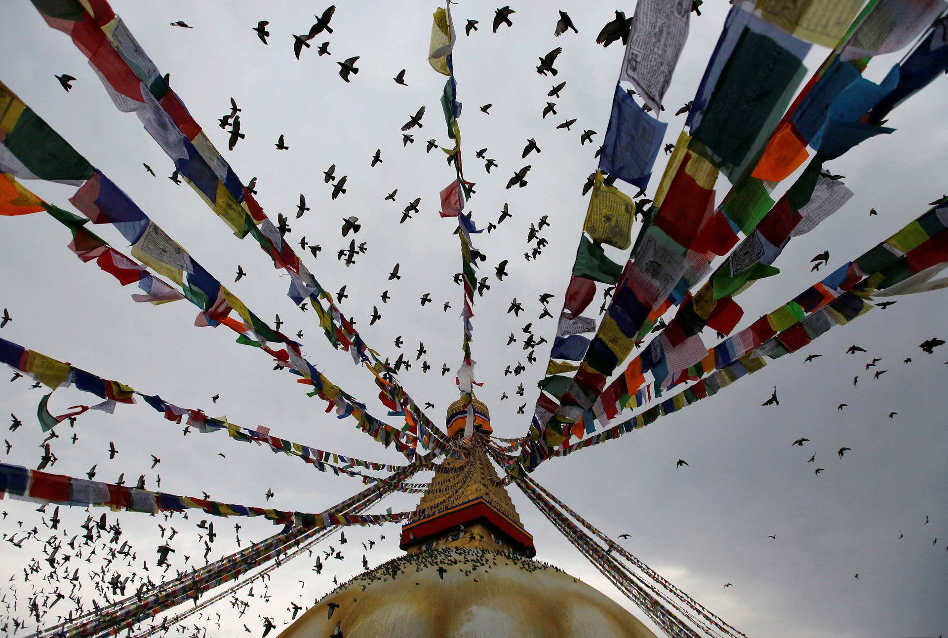 Bảo tháp Boudhanath trong lễ kỷ niệm ngày sinh của Đức Phật, còn được gọi là Ngày Vesak, ở Nepal. Ảnh VCG