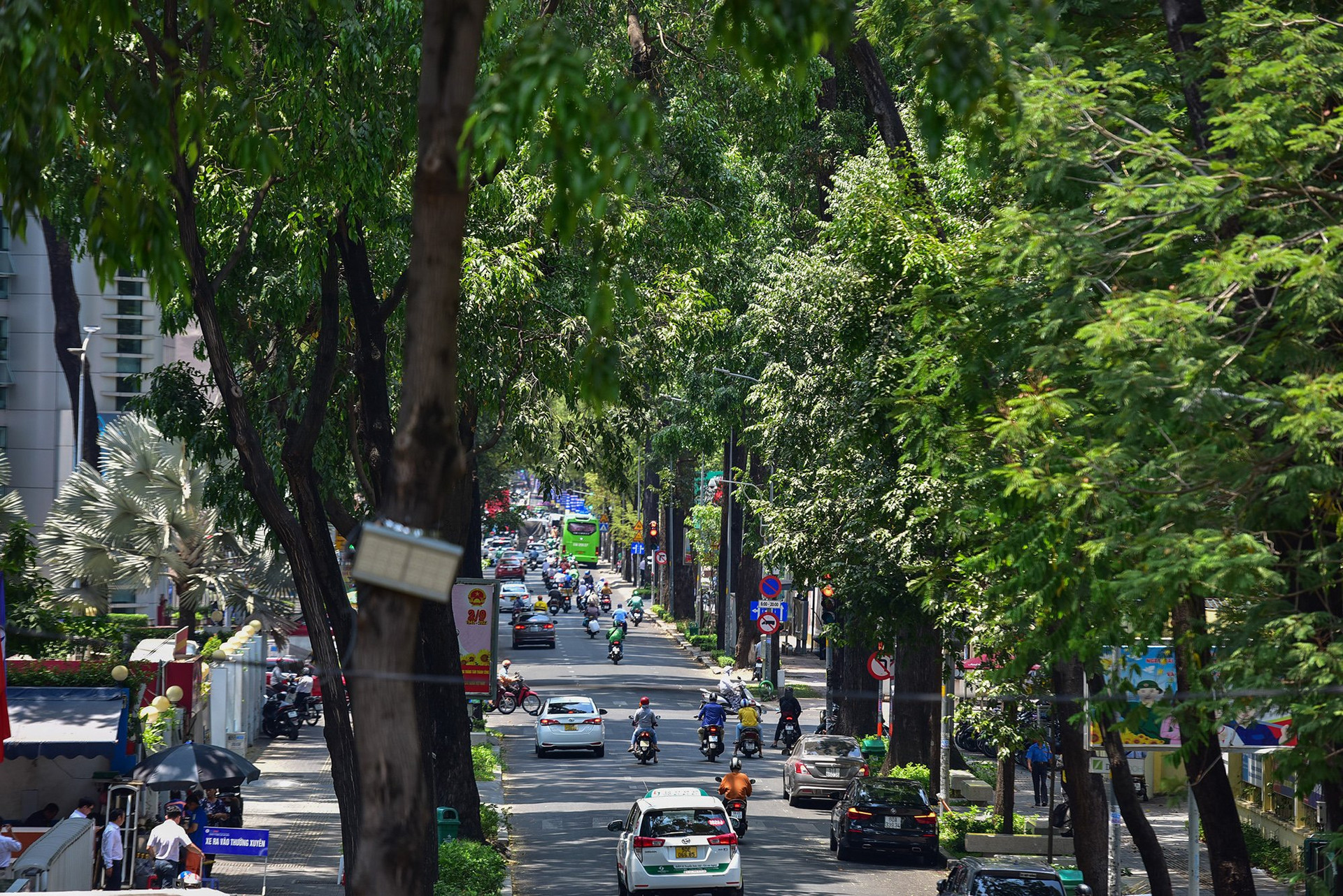 TP. HCM vẫn còn cần nhiều hơn những khoảng không gian xanh. Ảnh: Vietnam Daily - Chuyên trang của Báo Tri thức & Cuộc sống