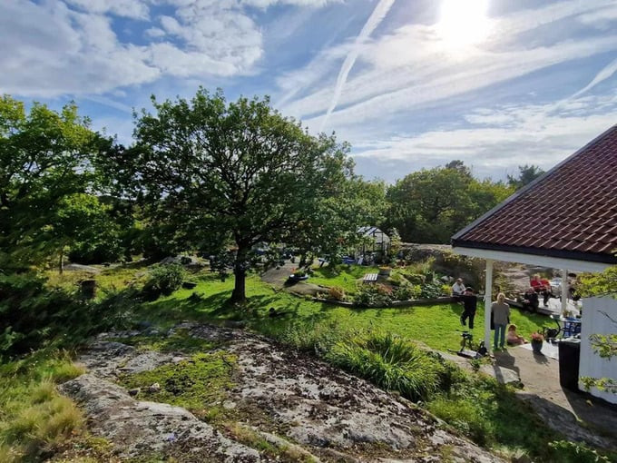 Mảnh vườn nơi tìm thấy hai cổ vật (Ảnh: Hội đồng Di sản Văn hóa Vestfold và Telemark)
