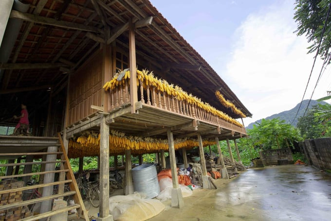 Nhà sàn người Tày ngày xưa sàn dưới chăn thả gia súc, gia cầm, ngày nay là nơi vui chơi hay để nông cụ sản xuất. Ảnh: Báo Quảng Ninh