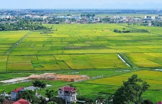UBND tỉnh Long An được phép chuyển mục đích sử dụng 47,22ha đất trồng lúa sang mục đích khách để thực hiện Dự án Khu tái định cư Tân Lập trên địa bàn huyện Cần Giuộc. Ảnh minh họa