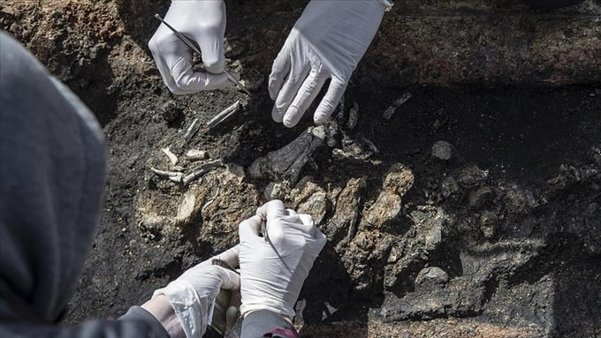 Hóa thạch xương của người Homo naledi lần đầu tiên được phát hiện vào năm 2013 tại hệ thống hang động Rising Star, Nam Phi. Ảnh: Anadolu Ajansı