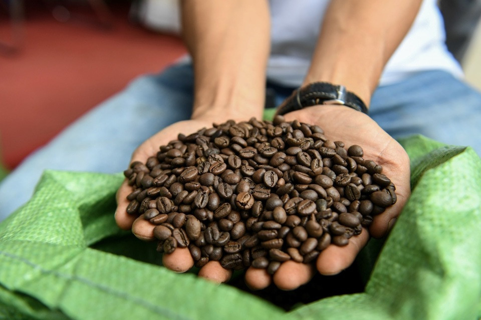 Giá cà phê hôm nay 29/5: cùng tăng mạnh, trong nước lấy lại mốc 120.000 đồng/kg