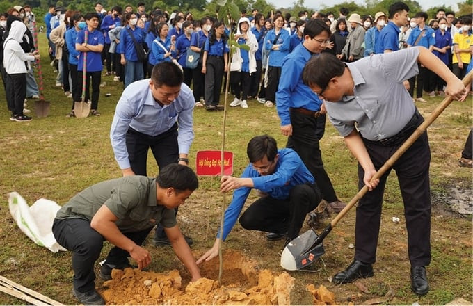 án bộ và sinh viên Đại học Huế tham gia trồng rừng đầu năm Giáp Thìn