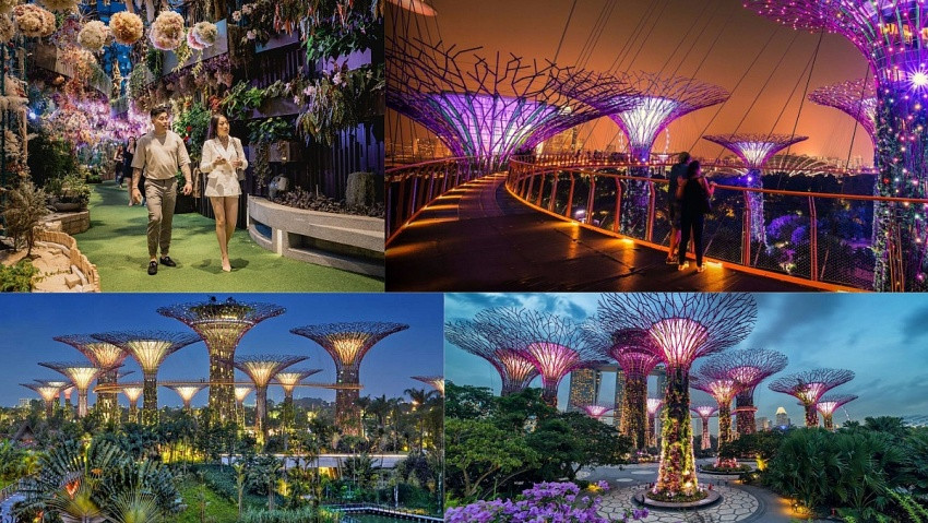 Những trải nghiệm về đêm không thể bỏ lỡ tại Singapore