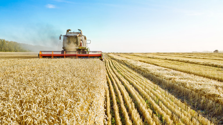 Nga có thể dễ dàng chuyển hướng xuất khẩu ngũ cốc sang các thị trường hứa hẹn hơn như Trung Đông và châu Phi. Ảnh: RT