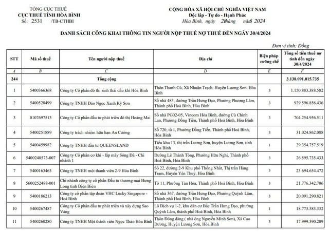 Hòa Bình: Công khai danh sách 244 doanh nghiệp nợ thuế, số tiền hơn 3.138 tỷ đồng- Ảnh 1.