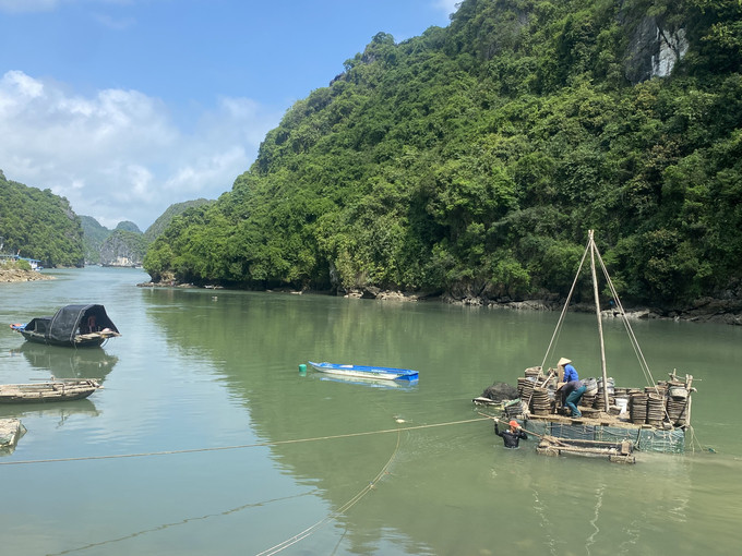 Cuộc sống yên bình tại làng Việt Hải. Ảnh: Quỳnh Như