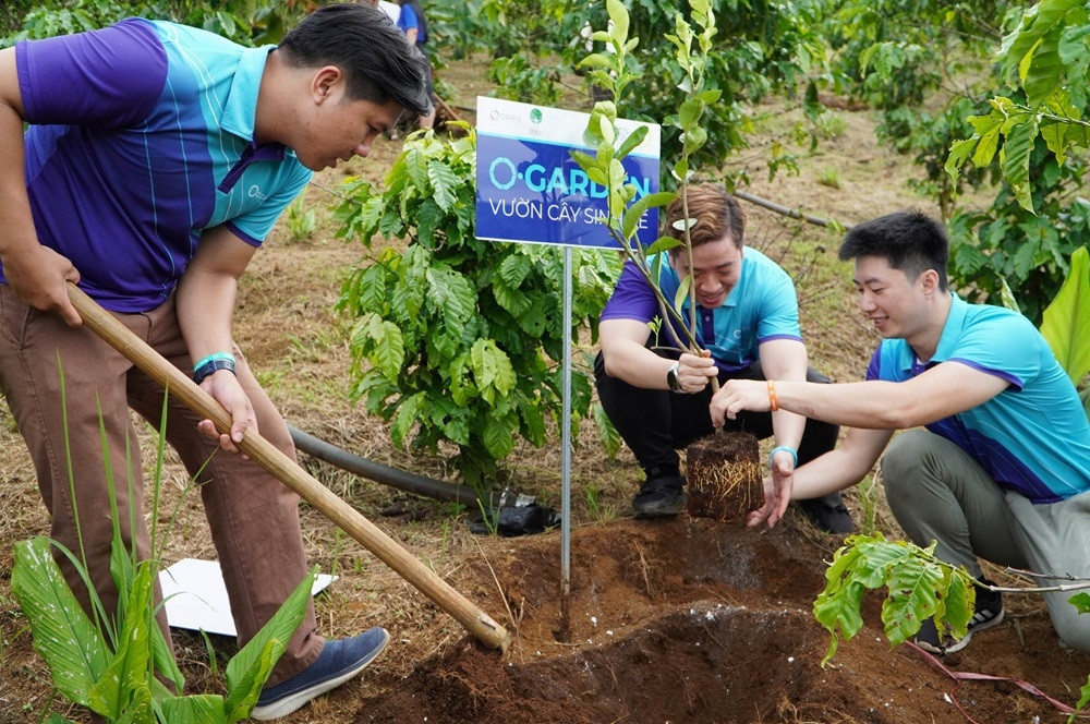 Bảo hiểm số OPES tặng 1.800 cây sinh kế gieo mầm cho tương lai bền vững tại xã Lộc Tân, Lâm Đồng