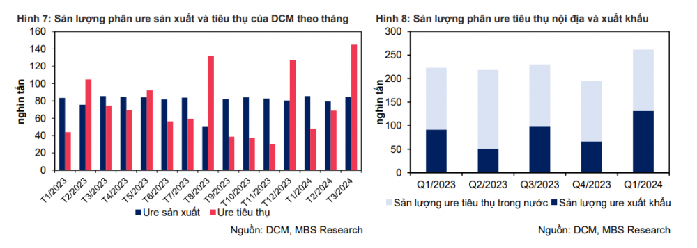 Đạm Cà Mau (DCM) và ba kỳ vọng tăng trưởng kinh doanh trong năm 2024