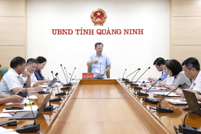 Đồng chí Cao Tường Huy, Phó Bí thư Tỉnh ủy, Chủ tịch UBND tỉnh chủ trì cuộc họp