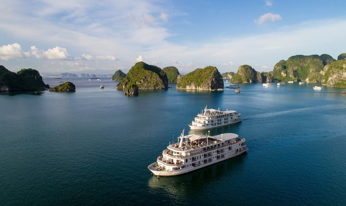 The Travel gợi ý du khách không nên bỏ lỡ vịnh Hạ Long. Ảnh: Paradise Cruise