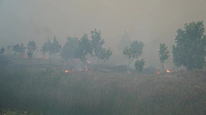 Vườn quốc gia Tràm Chim từng ghi nhận nhiều vụ cháy lớn (Ảnh: Báo Pháp Luật TP. Hồ Chí Minh)