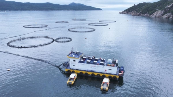 Khánh Hòa sắp đón vốn đầu tư 1 tỷ USD từ doanh nghiệp sản xuất cá chẽm lớn nhất thế giới