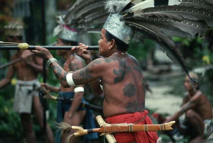 Đặc biệt ở Borneo, du khách có thể tham gia vào các tour khám phá rừng, xem người dân bản địa biểu diễn nghệ thuật vào ban đêm, khám phá cuộc sống gắn bó với rừng già của bộ tộc du mục Penan. Ảnh: Internet