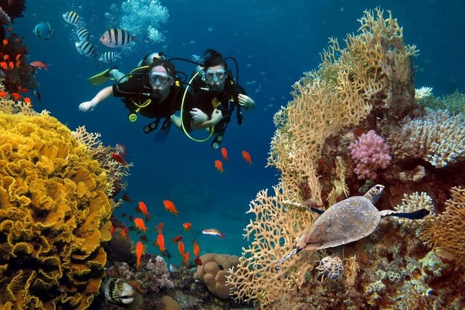 Đến làng chài Nhơn Hải, du khách không nên bỏ qua hoạt động lặn ngắm san hô. Ảnh: Internet