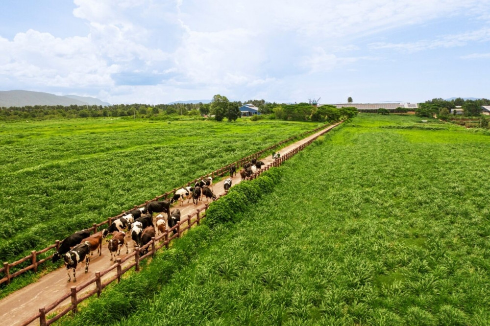 Tạo hệ sinh thái nông nghiệp bền vững: Không thể không làm đề đến Net Zero