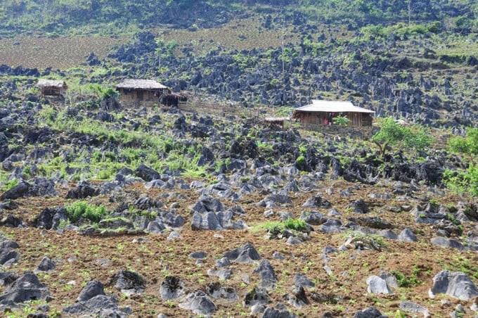 Xen kẽ giữa những vách đá là những thung lũng xanh mát, nơi những bản làng của người dân tộc thiểu số ẩn hiện giữa cao nguyên. Ảnh: Cổng Thông tin điện tử tỉnh Điện Biên