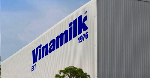 Vinamilk – Đại diện duy nhất từ ngành sữa Việt Nam trong danh sách Fortune 500 Đông Nam Á