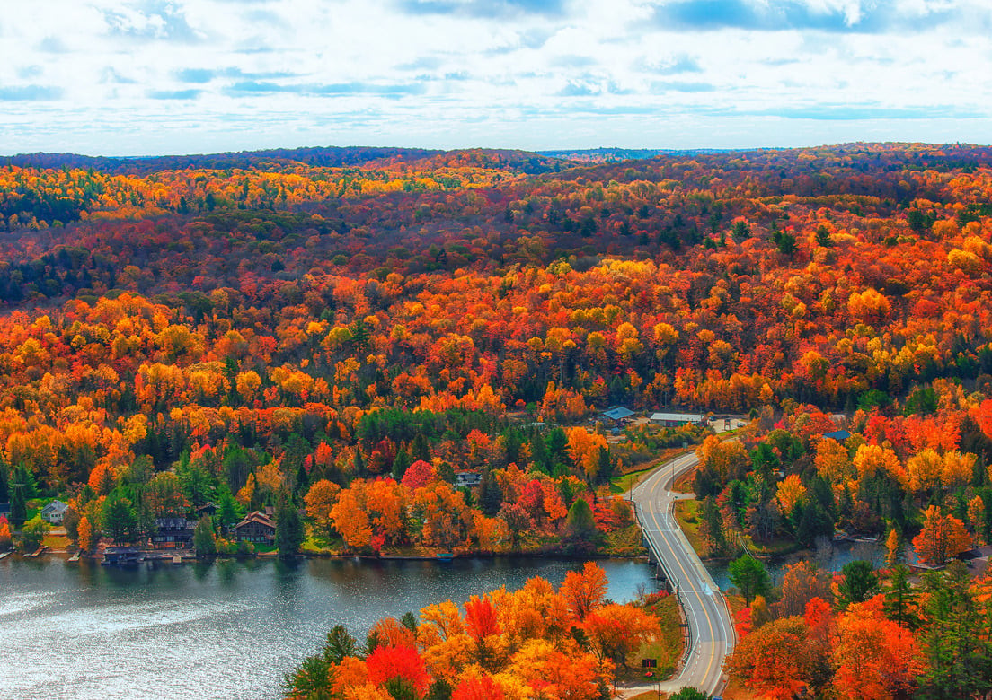 Mùa thu tuyệt đẹp ở Canada với sắc vàng, đỏ của lá phong tràn ngập các con đường. Ảnh: Getty Images