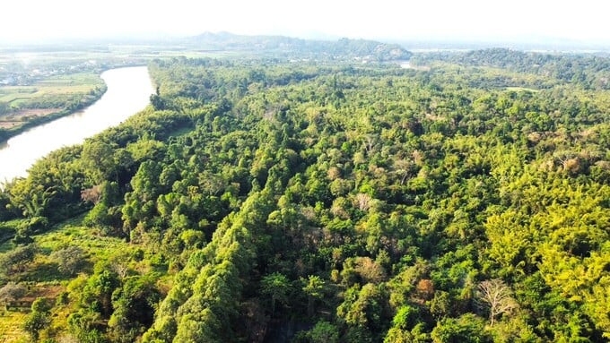 Cát Tiên chính là vườn Quốc gia đầu tiên ở Việt Nam đạt danh hiệu Danh lục Xanh của IUCN (Ảnh: Internet)