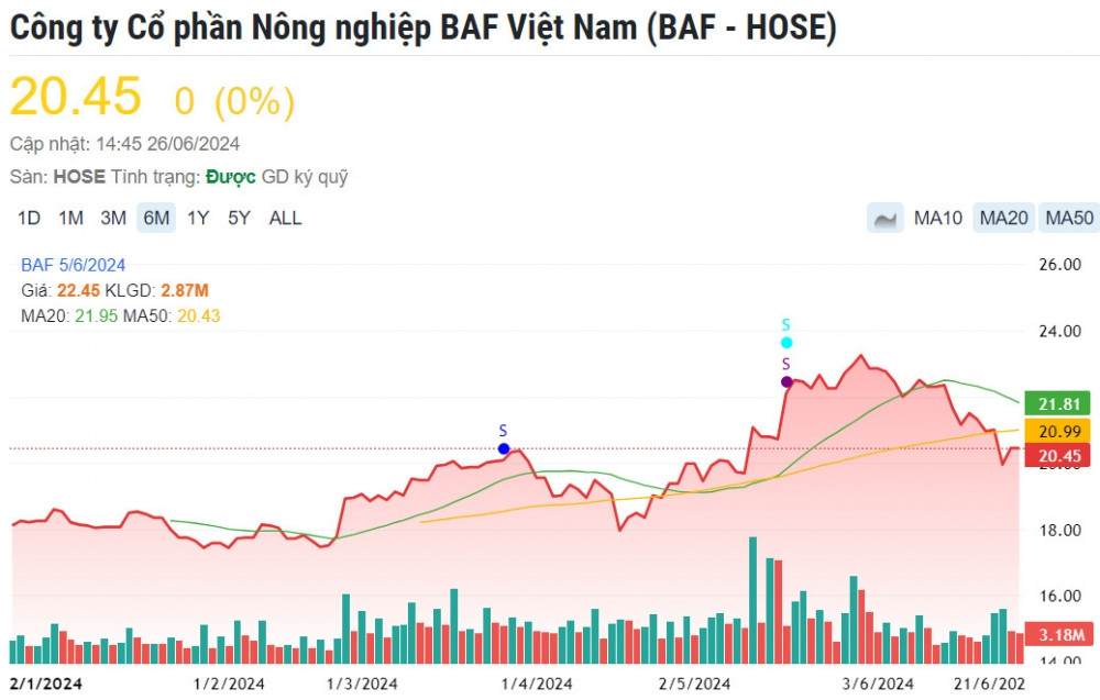 'Heo ăn chay' BAF bị UBCKNN bị xử phạt 242,5 triệu đồng với hàng loạt vi phạm