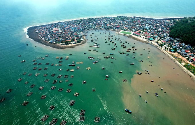 Những năm gần đây, xã đảo Nghi Sơn đã trở thành điểm du lịch nổi tiếng của Thanh Hóa. Ảnh: Báo điện tử Pháp Luật thành phố Hồ Chí Minh